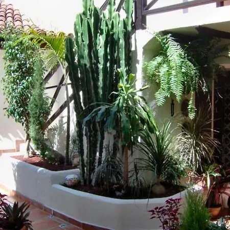 Apartament Penthousewohnung Mit Balkon - F4158 - #95419 Icod De Los Vinos